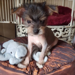 Meet your Posher, Hope